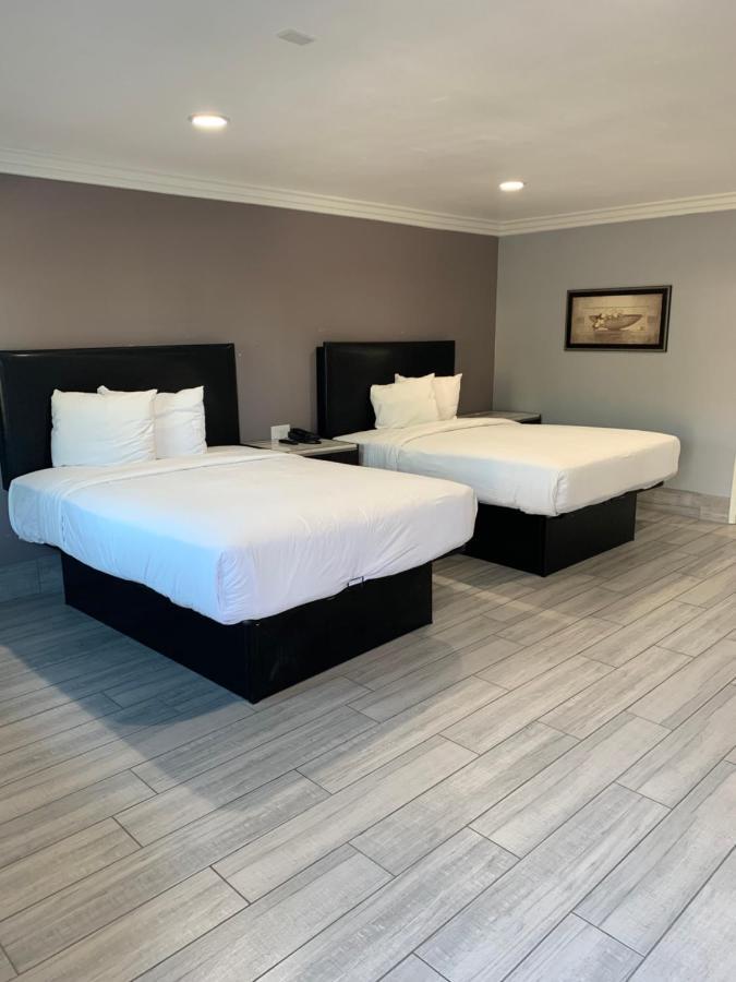 Hotel Willow Tree & Los Angeles