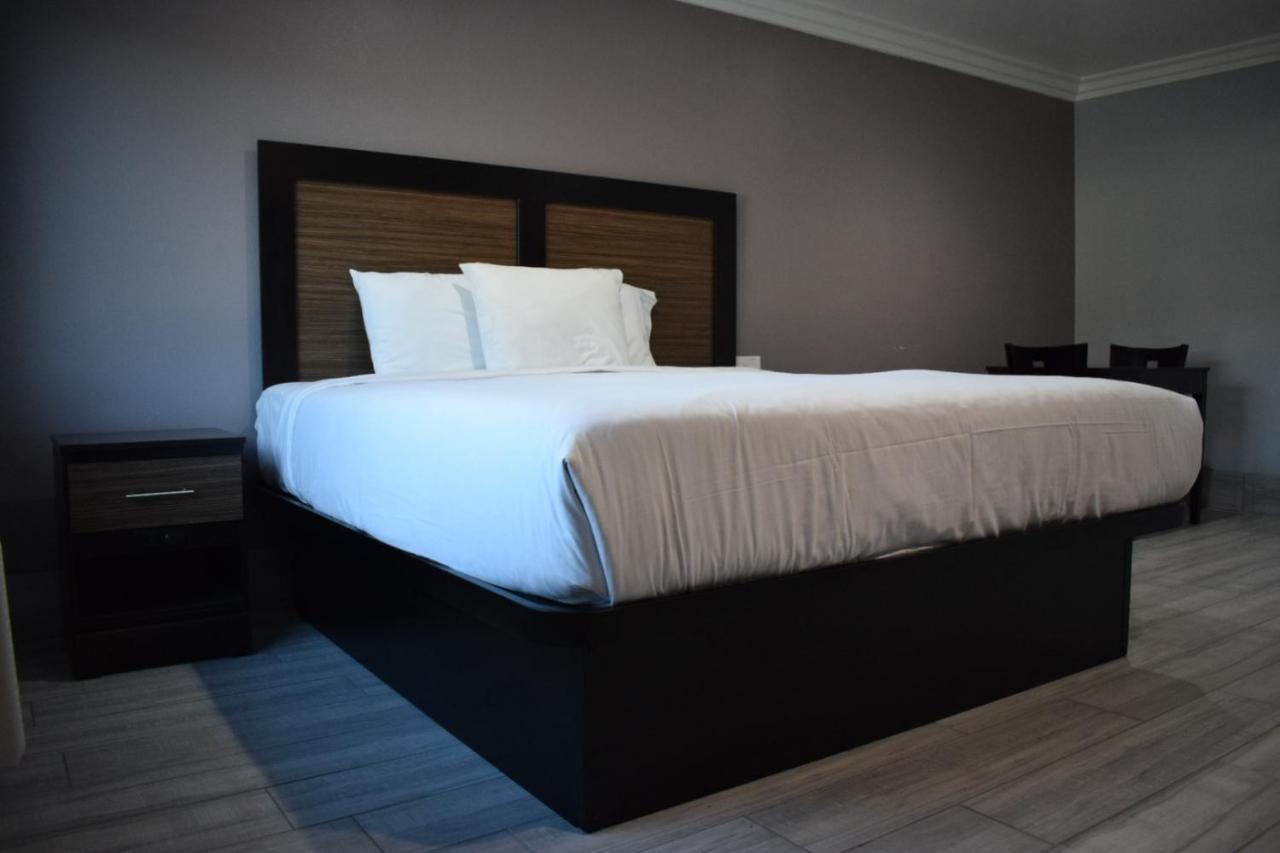 Willow Tree & 3* Los Angeles