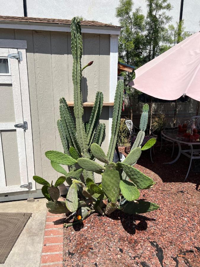 Private Angeles - Free Wifi, Ac, Tv, Private Fridge, Kitchen, Near Usc - Exposition Park - Usc Memorial Coliseum - Banc Of California Bmo Stadium - Downtown Angeles Dtla - Of Southern California Usc!!
