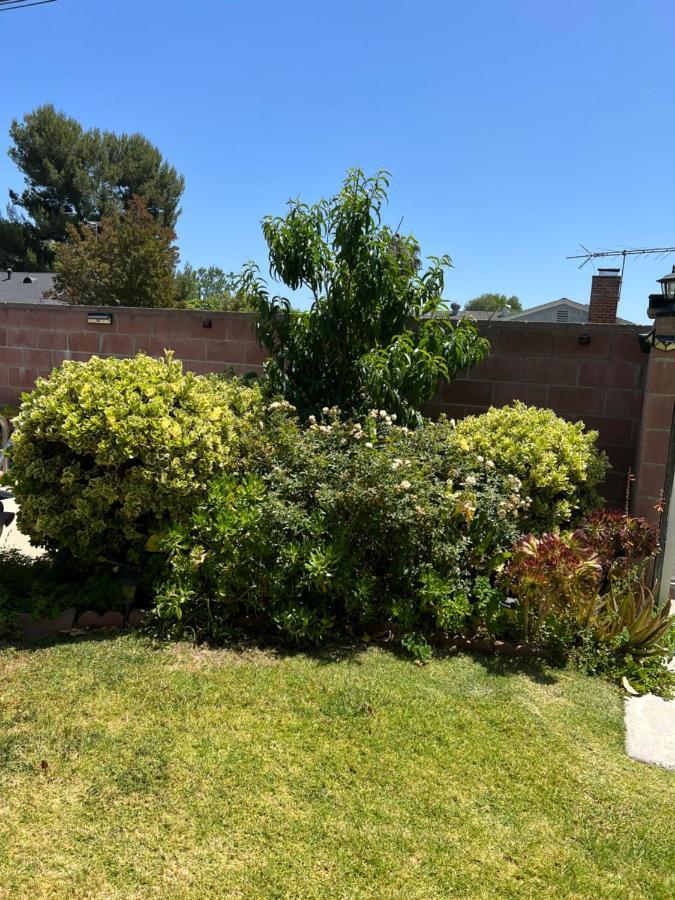 Vacation W Pool &garden 6 Guests Near Csun Los Angeles