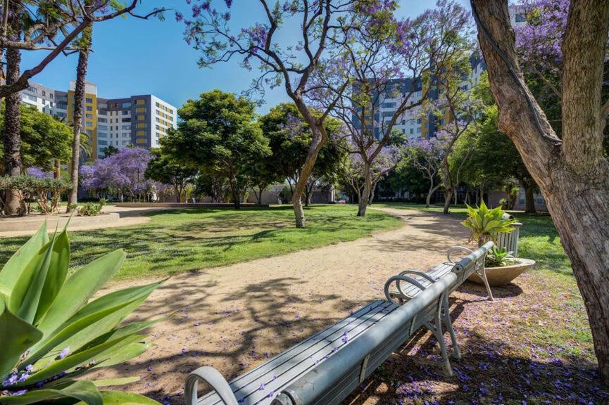 Large Cozy With Beautiful Views Near The Grove Apartment Los Angeles