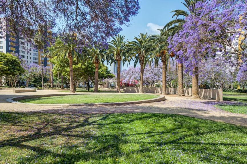 Large Cozy With Beautiful Views Near The Grove *