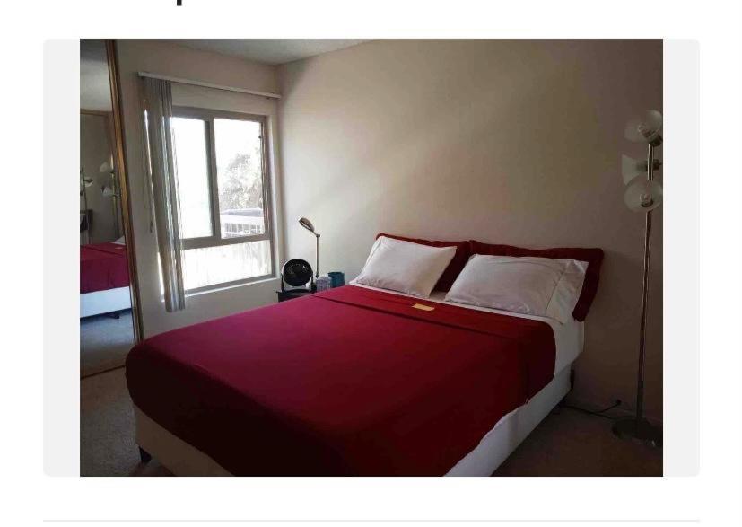 Venice Beach Beautiful One Bedroom