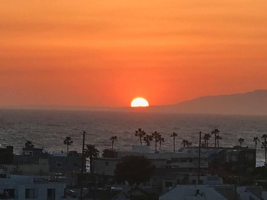 Luxury 1 Bd & 1br With Fantastic Marina View