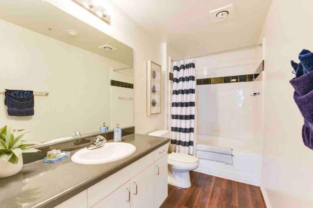 Hublife Your Private Oasis In The Heart Of Marina Del Rey *