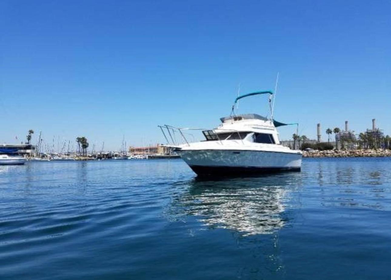 Marina *