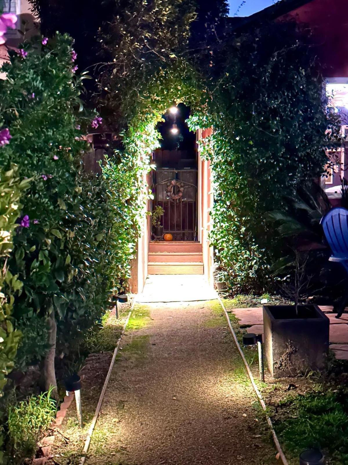 The Vine - Cal King - Private Entrance