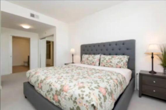 Apartment Stunning 2br Penthouse Patio & View Venice Mdr