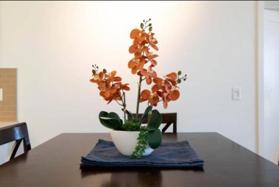 Apartment Ocean View In Marina Del Rey Near Venice Los Angeles