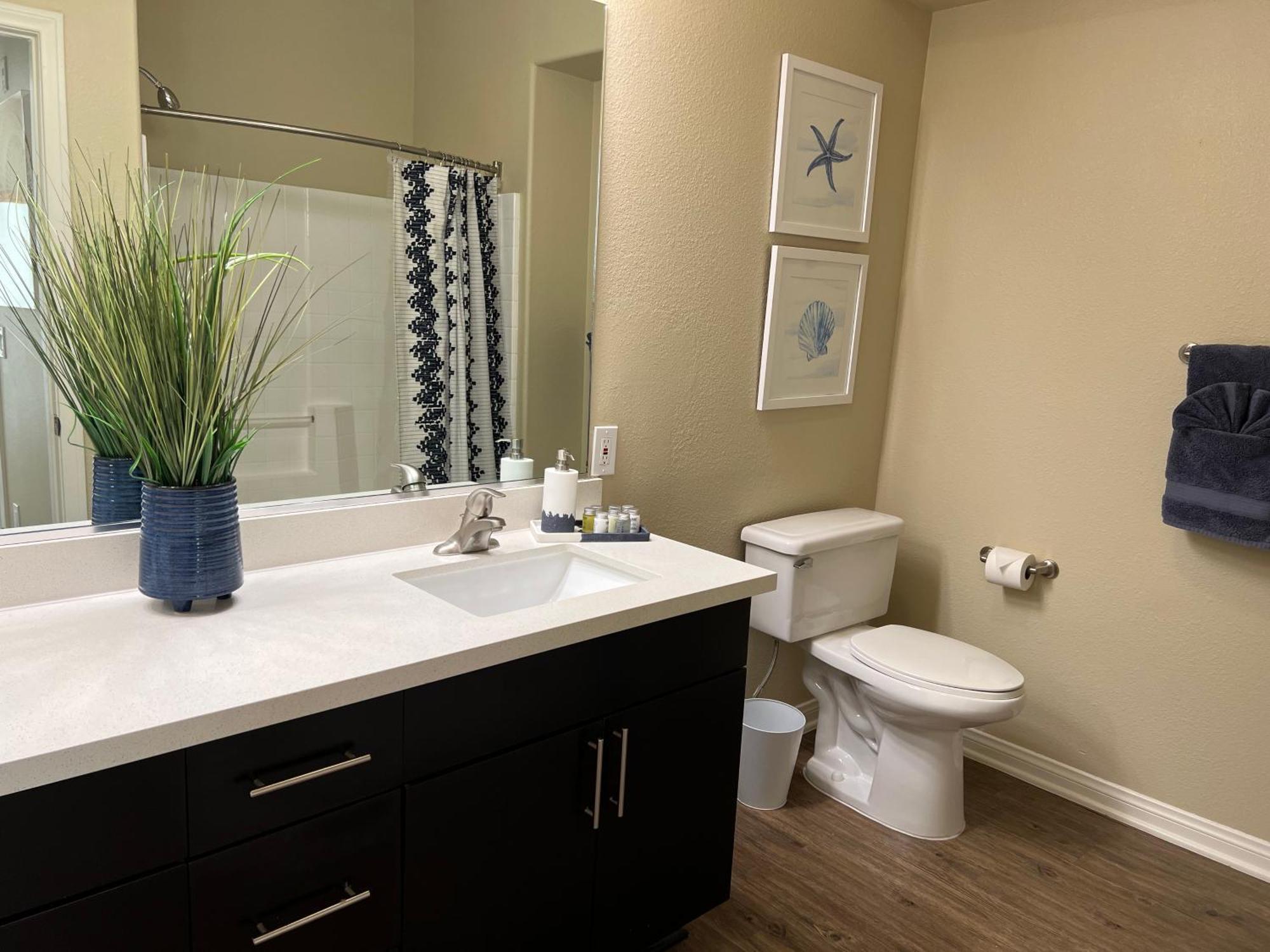 Hublife Your Private Oasis In The Heart Of Marina Del Rey Apartment