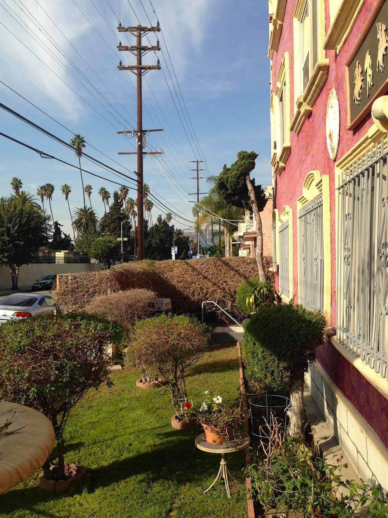 Hollywood Dream 2*