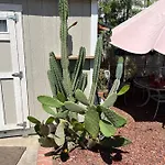 Private Los Angeles Room - Free Wifi, Ac, Tv, Private Fridge, Kitchen, Near Usc - Exposition Park - Usc Memorial Coliseum - Banc Of California Bmo Stadium - Downtown Los Angeles Dtla - University Of Southern California Usc!!