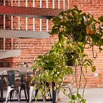 Downtown La 2 Story Artist Loft With Views