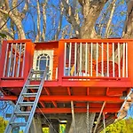 Flower Garden Cottage With Treehouse And Pond!