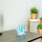 Stylish 1Br 1Ba Oasis In The Heart Of Venice-Marina Del Rey