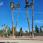 4 Bedroom Encino Home W/ Amazing Yard, Near Everything