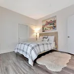 1 Luxury Apartment
