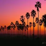 Venice Beach Apartments Monthly Rents