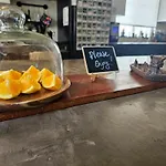 Tranquility At The House Of Alchemy Hollywood