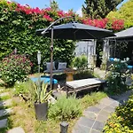 Tranquility At The House Of Alchemy Hollywood