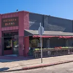 The Willow