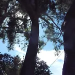 Woodland Hills Calabasas Guesthouses