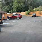 Showtime Motel