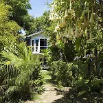 Tropical Bohemian One Bedroom In The Hollywood Hills