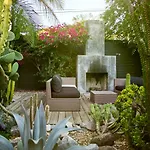 Cactus Flower