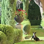 The Villa Sophia Guest House