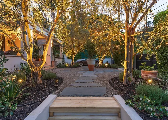 Runyon Canyon Botanical Oasis
