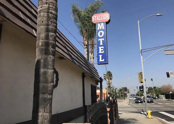 Stallion Motel