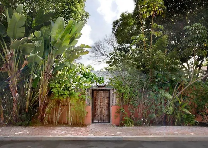 Tropical Bohemian One Bedroom In The Hollywood Hills