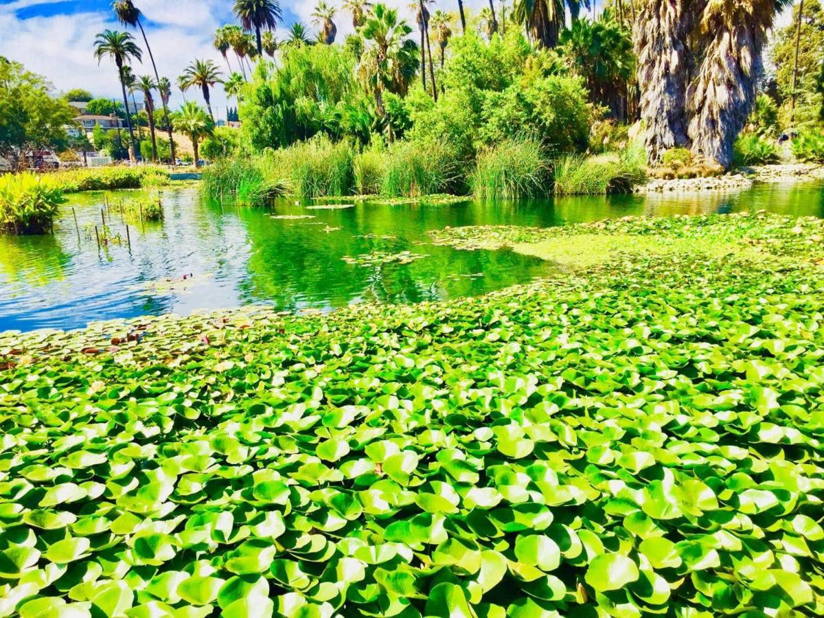 Echo Park Arts House * Los Angeles