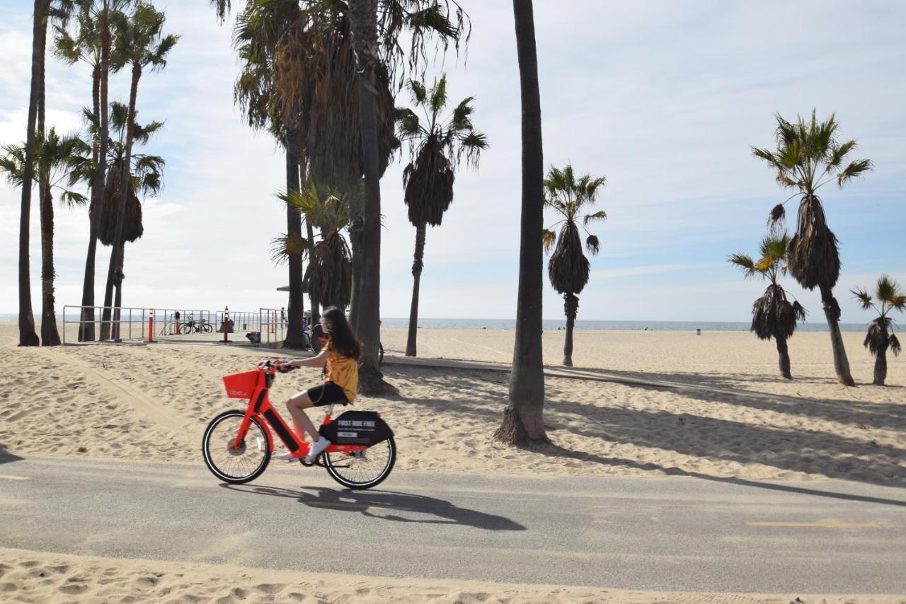 Venice Monthly Rents * Los Angeles