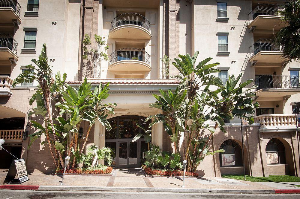 Sunshine At The Piero * Los Angeles