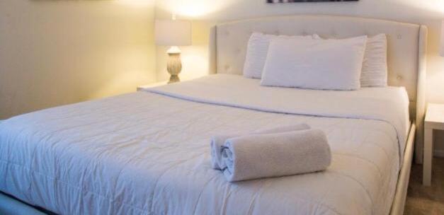 Popular Luxury Studio In The Heart Of *