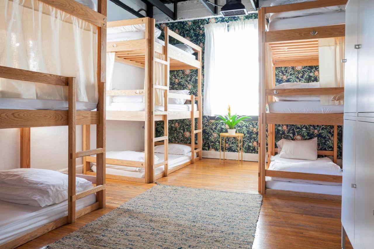 Hostel The Steady