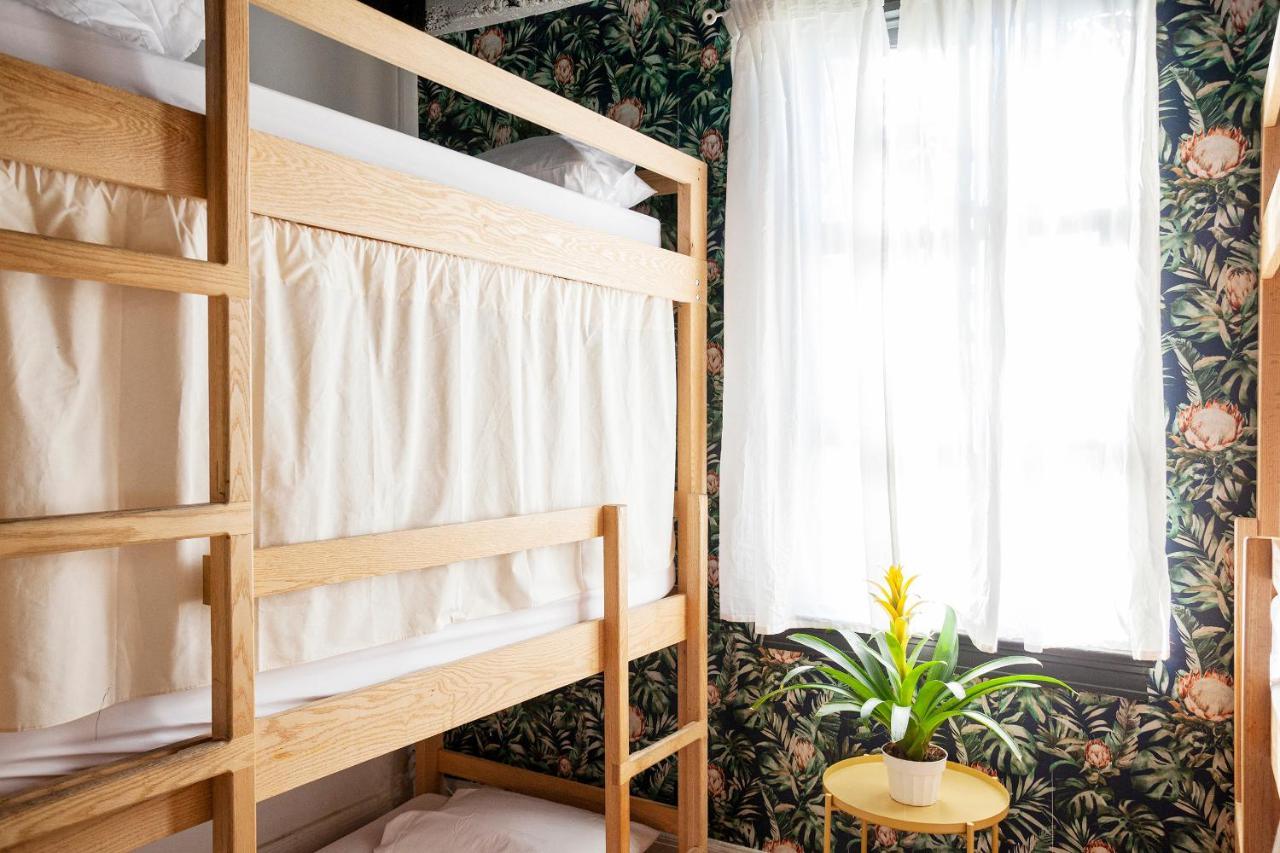 Hostel The Steady Los Angeles