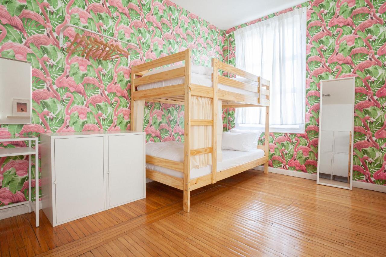 Hostel The Steady
