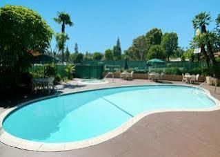 818 + Pool, Ascend Collection By Choice 3* Los Angeles