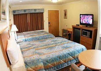 Hotel Dreamscape Pacific Coast Highway Los Angeles