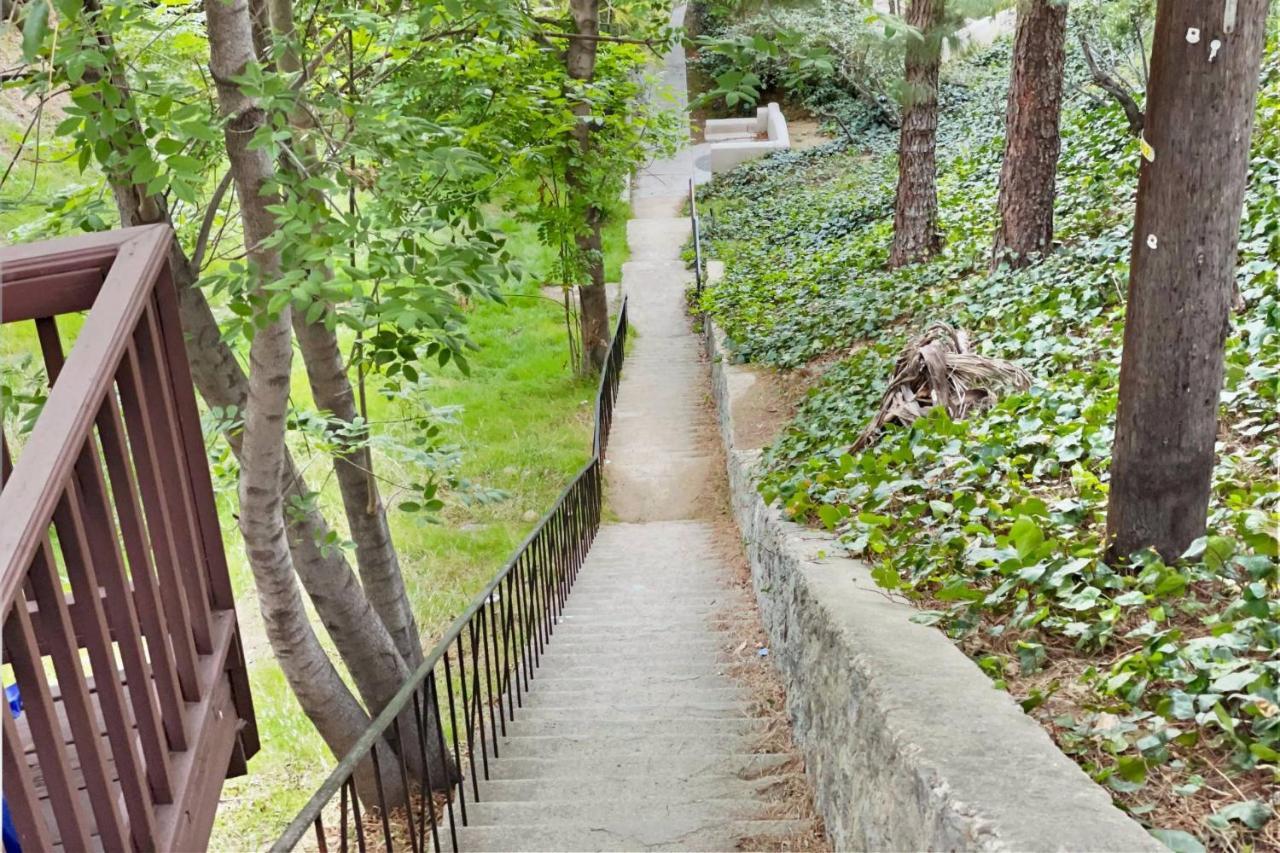 Secret Stairs Hollywood Hills * Los Angeles