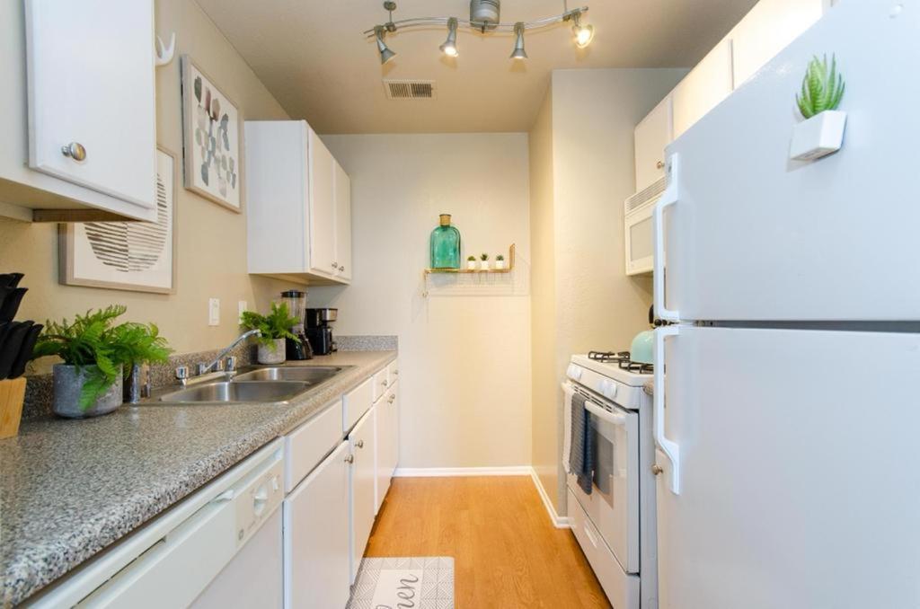 Gucci Mickey And Maxico Lofts Free Parking And Wifi Los Angeles
