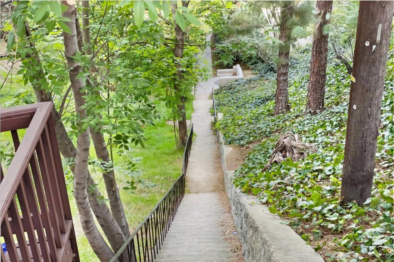 Secret Stairs Hollywood Hills * Los Angeles