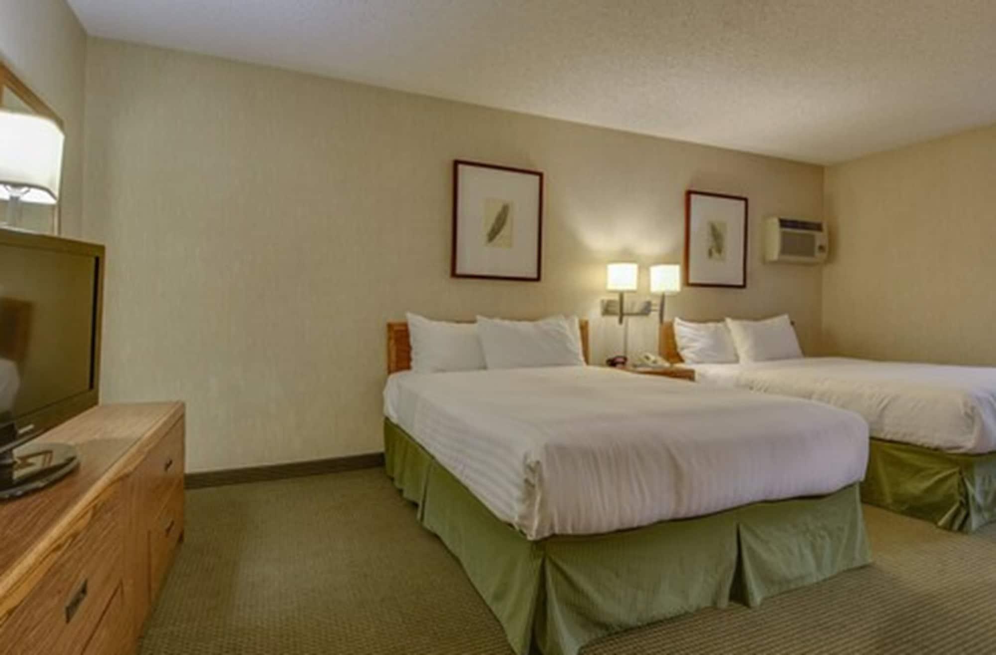 Vagabond Angeles At Usc Motel 2*