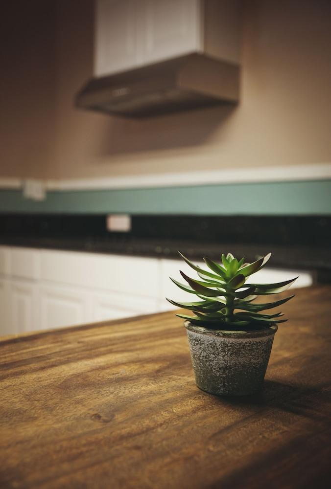 Hostel Melrose (adults Only) *