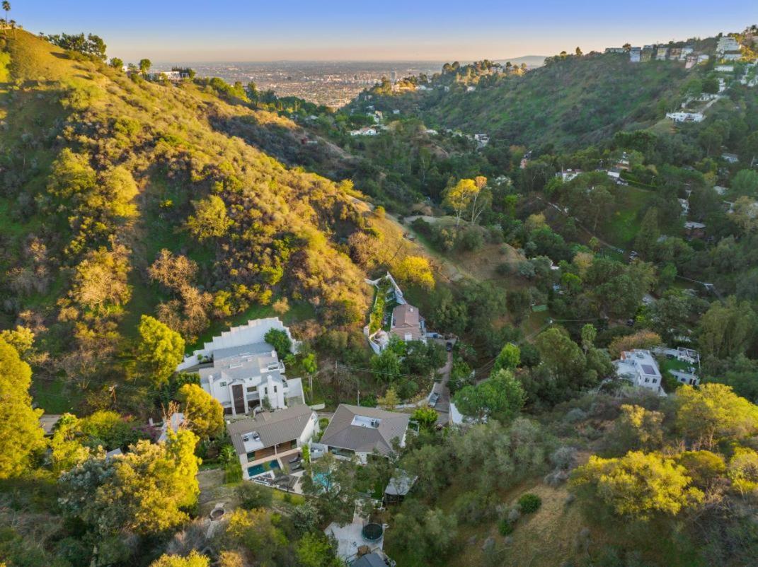 Willow Glen *