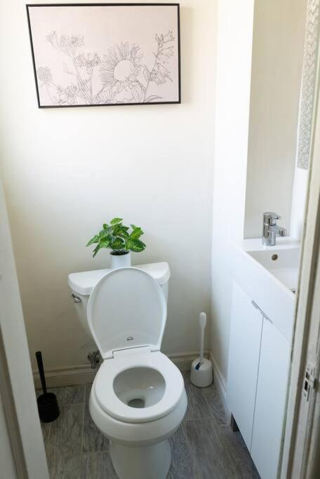 Spacious 2-bedroom Unit In Hollywood Apartment *