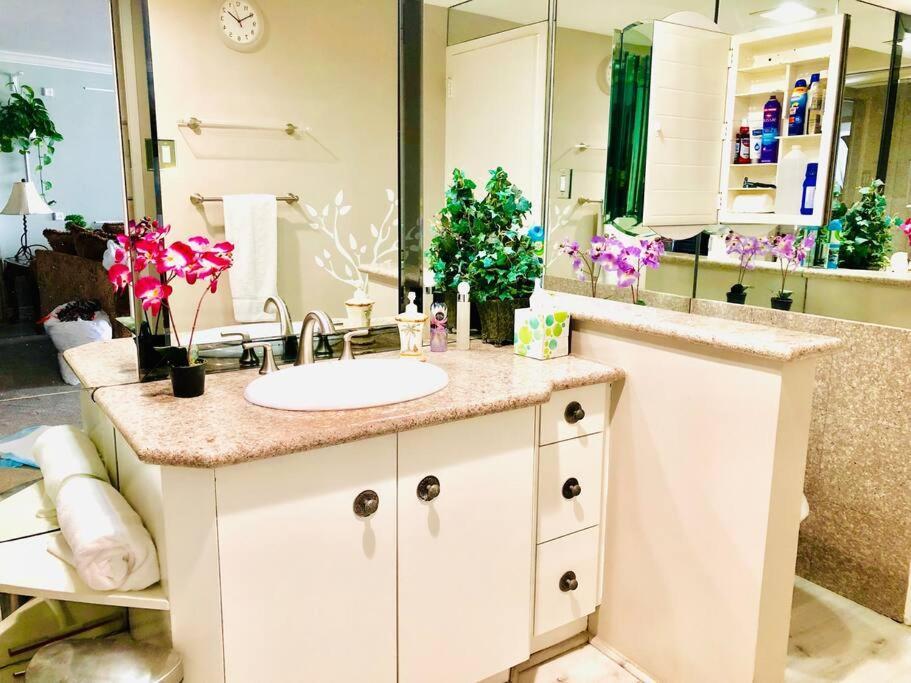 Apartment Luxury 1 Bd & 1br With Fantastic Marina View *